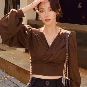 Long sleeved cropped brown top